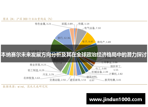 本纳赛尔未来发展方向分析及其在全球政治经济格局中的潜力探讨