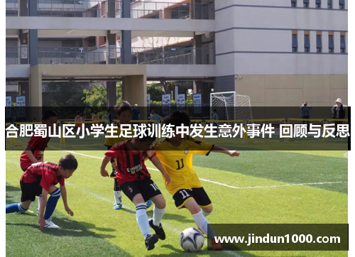 合肥蜀山区小学生足球训练中发生意外事件 回顾与反思
