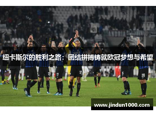 纽卡斯尔的胜利之路：团结拼搏铸就欧冠梦想与希望